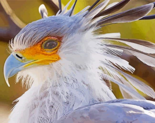 The Secretarybird Head Paint By Numbers