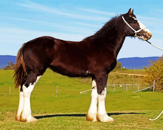 The Shire Dark Brown Horse Paint By Numbers