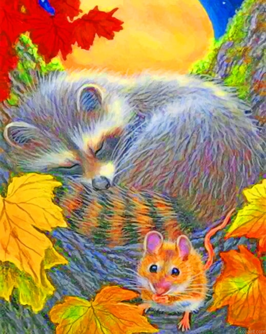 The Sleeping Raccoon Animals Painting By Numberss.png