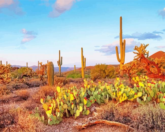 The Sonoran Desert Painting By Numberss.png