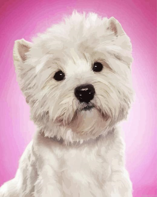 The West Highland Terrier Dog Painting By Numberss.png