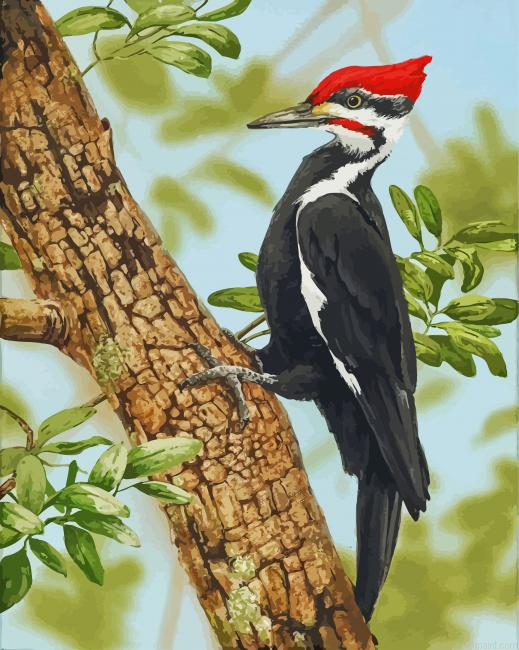 The Woodpecker Bird Paint By Numbers.png