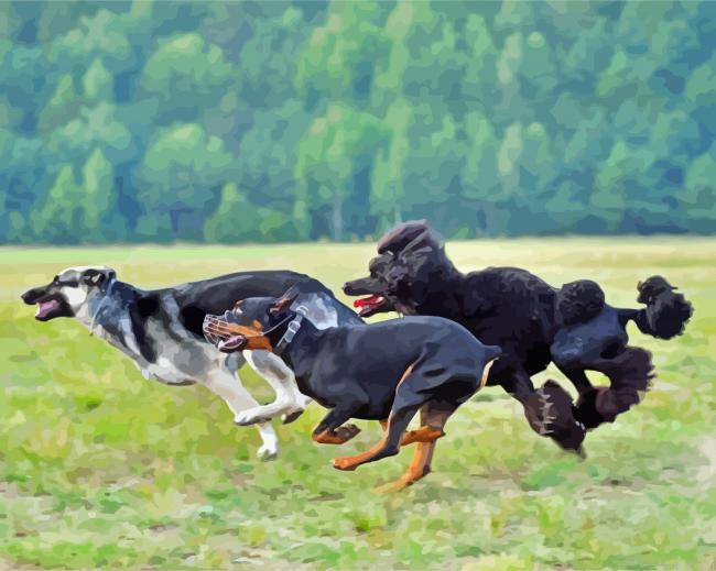 Three Dogs Running Fast Through An Open Field Painting By Numberss.png
