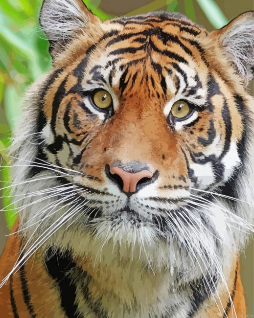 Tiger Look Painting By Numberss.png