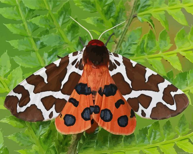 Tiger Moth Painting By Numberss.png