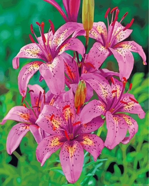 Tiger Pink Lilies Painting By Numberss.png