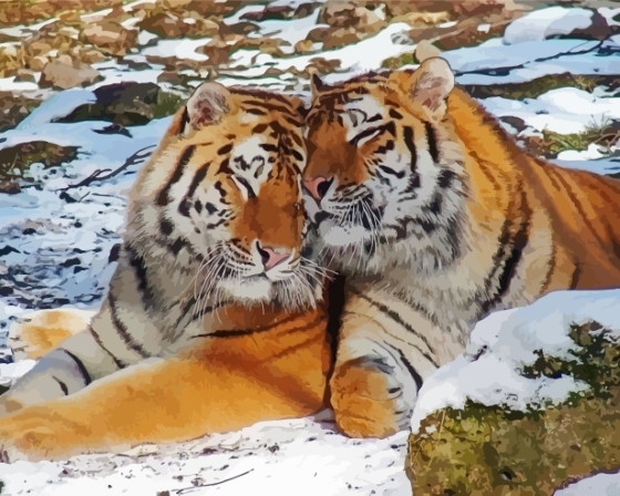 Tigers In Love In Snow Painting By Numberss.png