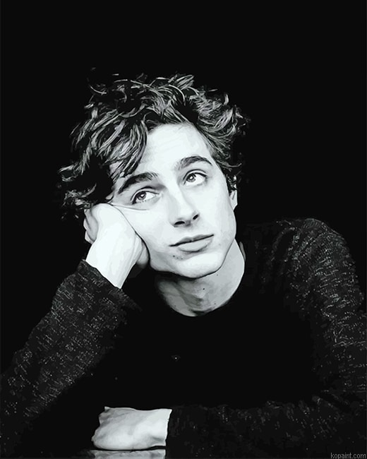 Timothee Black And White Portrait New Painting By Numberss.png