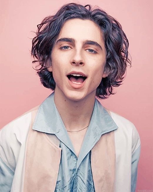 Timothee Chalamet Photoshoot New Painting By Numberss.png
