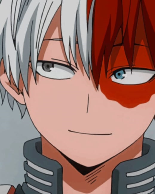 Todoroki New Painting By Numberss.png