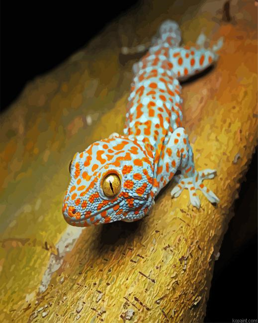 Tokay Gecko Lizard Reptile Painting By Numberss.png
