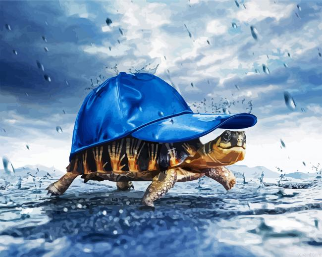 Tortoise With Hat Paint By Numbers.png