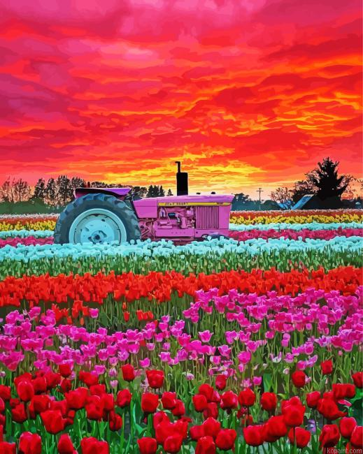 Tractor In Flowers Field Painting By Numberss.png