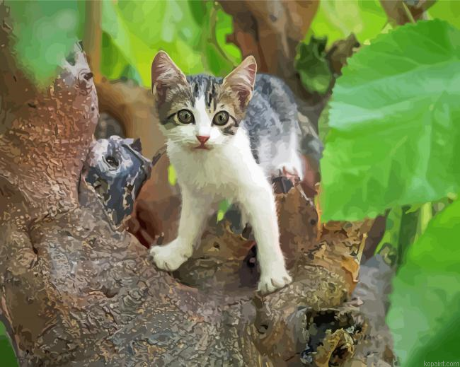 Tree Kitten Painting By Numberss.png
