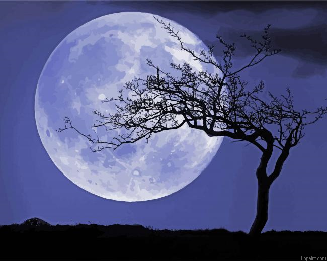 Tree On The Moon Painting By Numberss.png