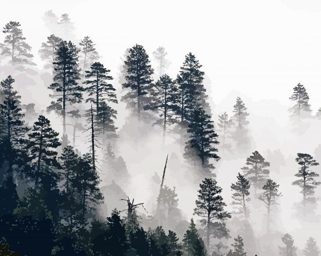 Trees In The Mist Painting By Numberss.png