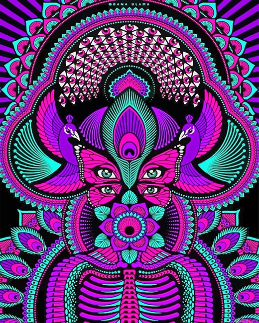 Trippy Mandalas New Painting By Numberss.png
