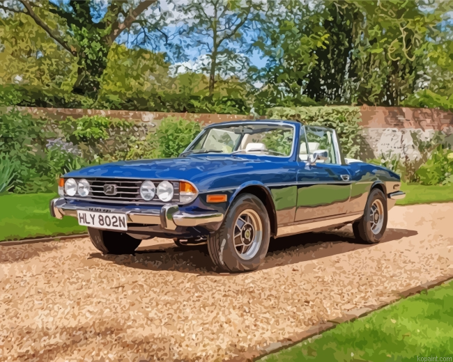 Triumph Stag Painting By Numberss.png