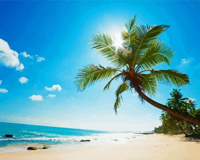 Tropical Beach Saint Maarten Painting By Numberss.png