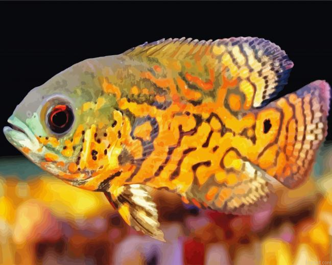 Tropical Cichlid Painting By Numberss.png