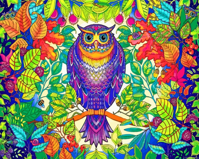 Tropical Mandala Owl Painting By Numberss.png