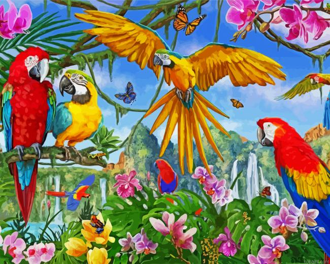 Tropical Parrots Paint By Numbers