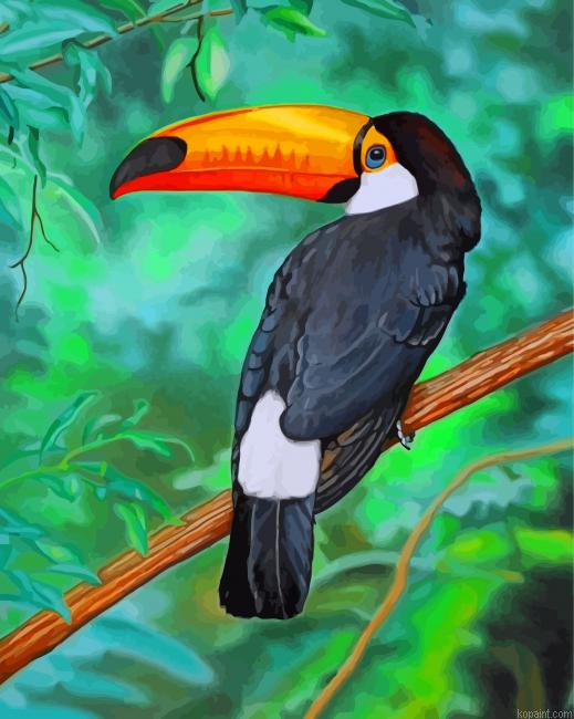 Tropical Toucan Painting By Numberss.png