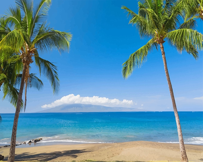 Tropics Coast Sea Palma Hawaii New Painting By Numberss.png