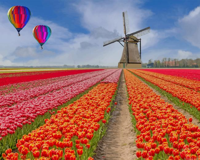 Tulips Field New Painting By Numberss.png