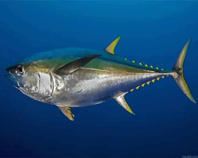 Tuna Fish Paint By Numbers.png