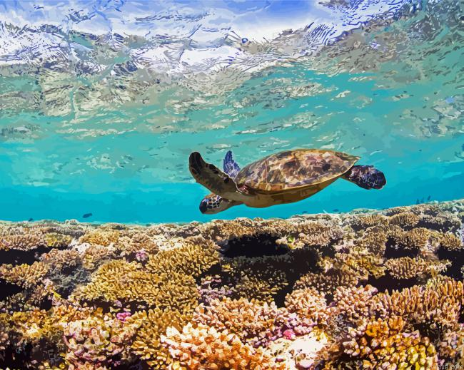 Turtle Swimming Over Ningaloo Painting By Numberss.png