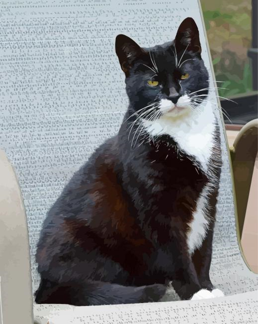 Tuxedo Bicolor Cat Painting By Numberss.png