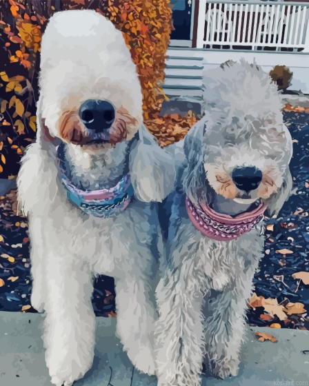 Two Bedlington Terriers Painting By Numberss.png