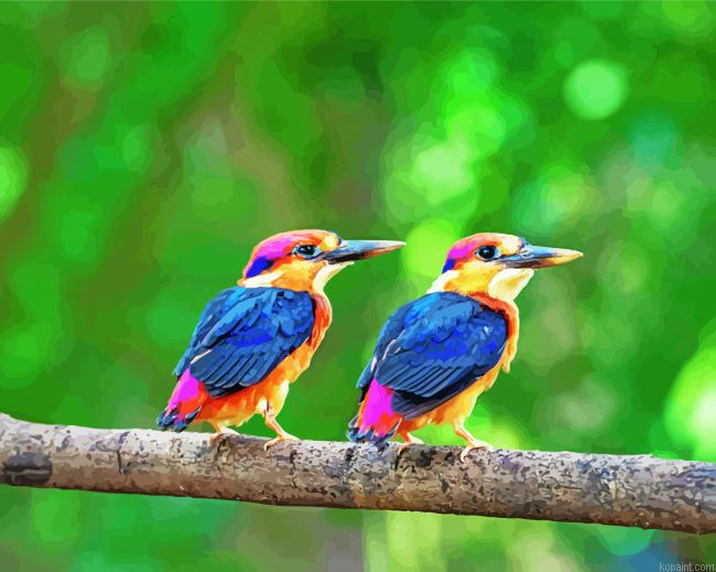 Two Dwarf Kingfisher Birds Painting By Numberss.png