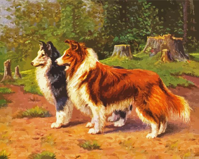 Two Shelties Dog Painting By Numberss.png