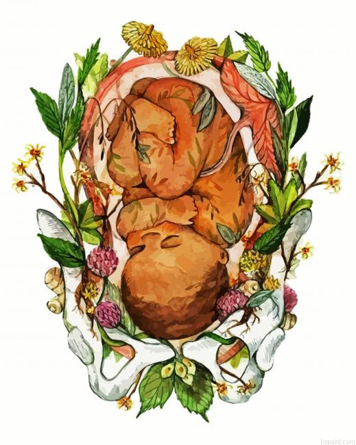 Unborn Baby Illustration Paint By Numbers.png