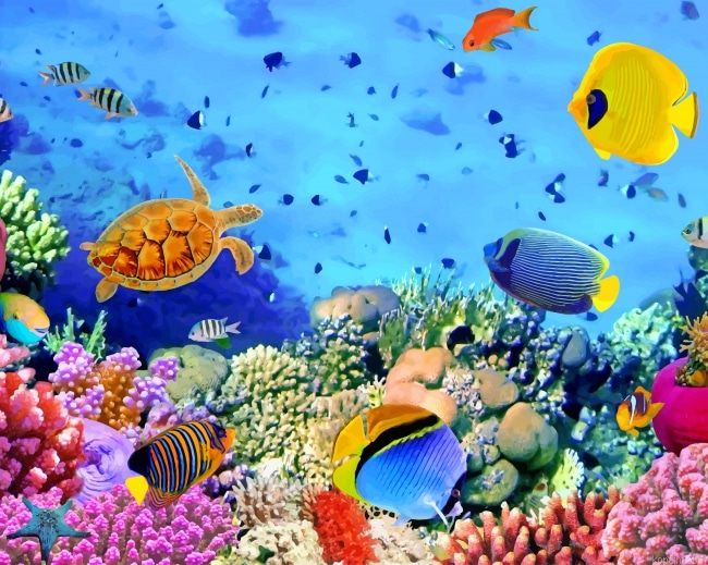 Under Water Colorful Fish New Painting By Numberss.png