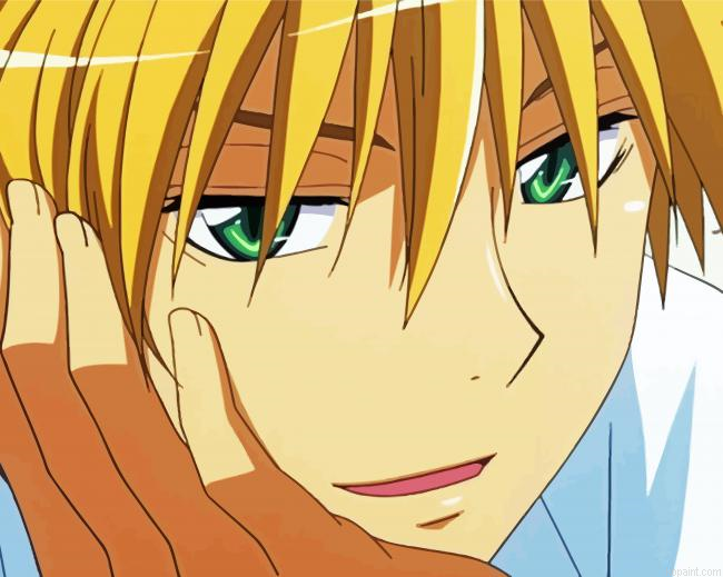 Usui Maid Sama Character Painting By Numberss.png