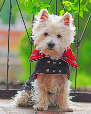 Vampire Westie Painting By Numberss.png