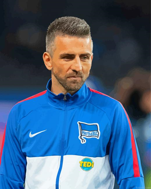 Vedad Ibisevic Footballer Painting By Numberss.png