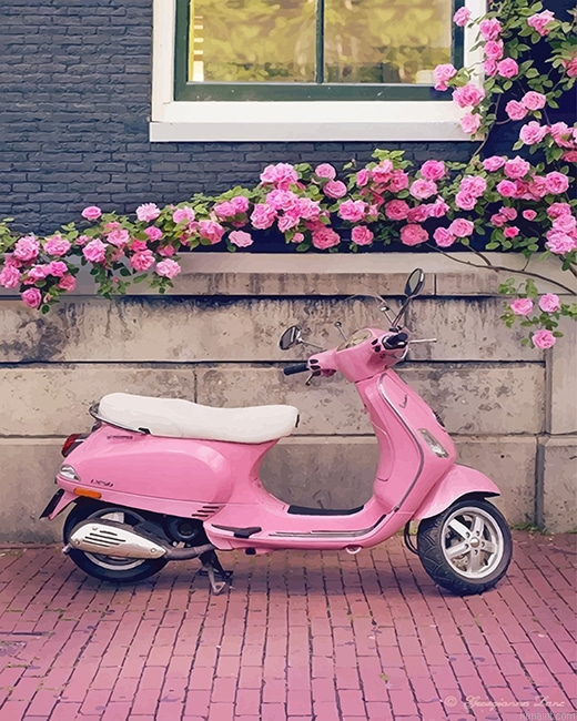 Vespa Pink Scooter New Painting By Numberss.png