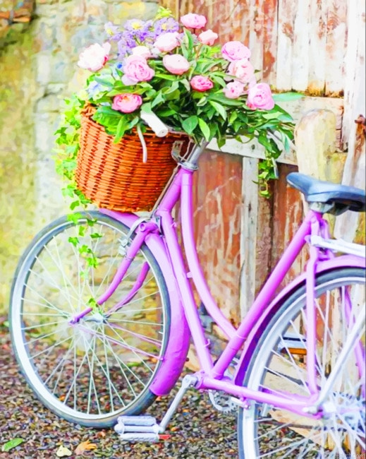 Vintage Bike With Flower Basket New Painting By Numberss.png