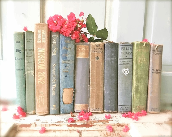Vintage Books New Painting By Numberss.png