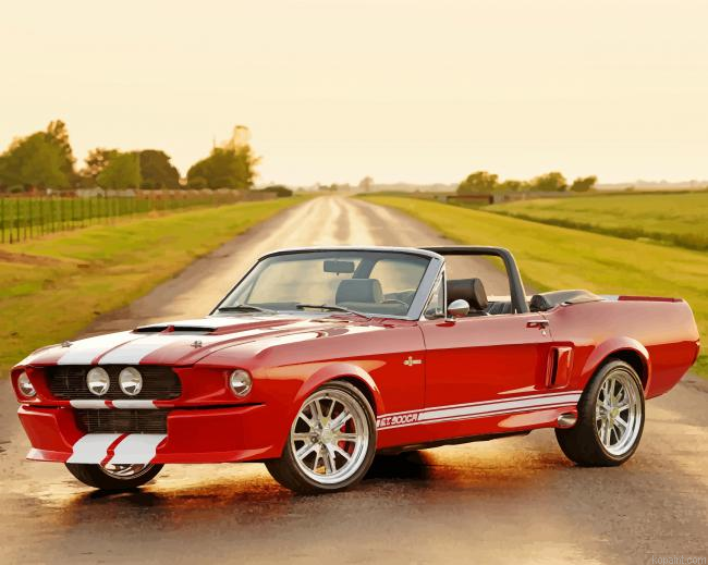 Vintage Ford Gt 500 Painting By Numberss.png