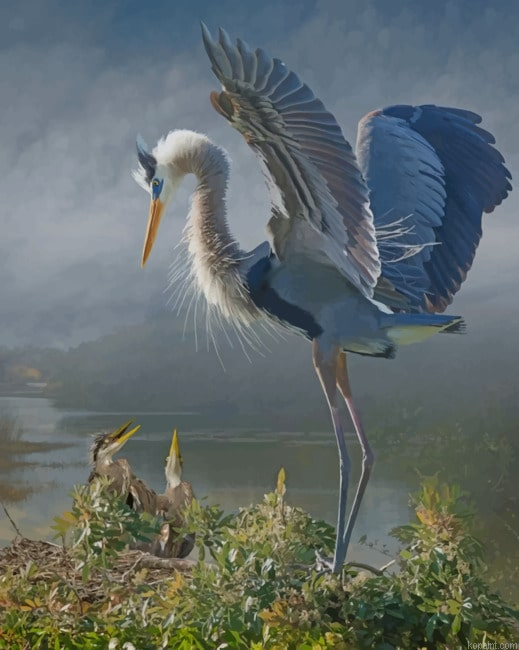 Vintage Great Blue Heron New Painting By Numberss.png