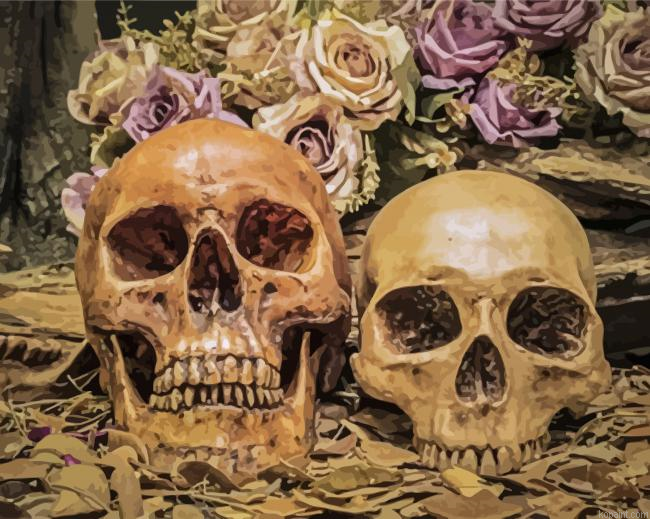 Vintage Head Skulls Painting By Numberss.png