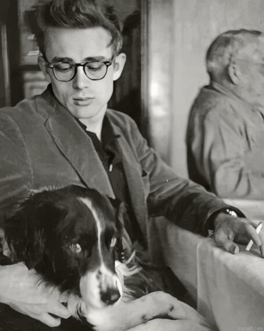 Vintage James Dean Paint By Numbers