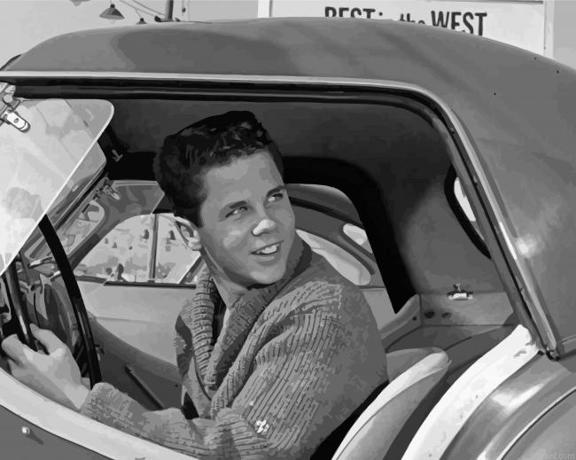 Vintage Tony Dow Paint By Numbers