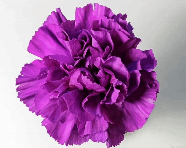 Violet Carnation Paint By Numbers.png