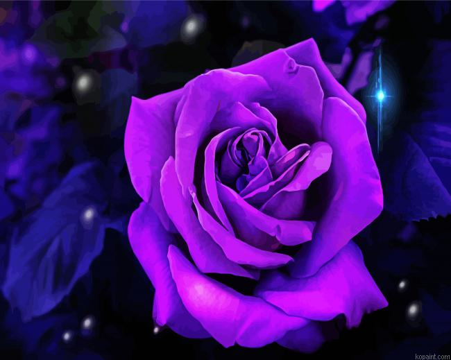 Violet Rose Paint By Numbers.png